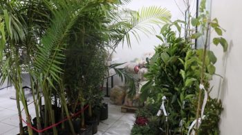 0f4232559adecab6398c6a435dad5ab8