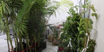 0f4232559adecab6398c6a435dad5ab8