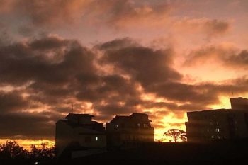 123-Recuperado-Recuperado