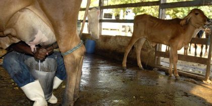 2f4dc71d-7342-44f2-afbc-b0574760b156