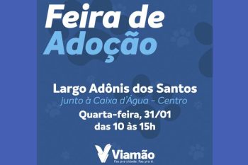Sem-Titulo-1-51-Recuperado