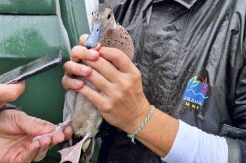 Sem-Titulo-10-Recuperado-Recuperado-Recuperado-Recuperado