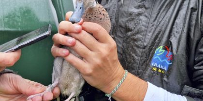 Sem-Titulo-10-Recuperado-Recuperado-Recuperado-Recuperado