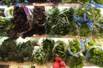 Sem-Titulo-10-Recuperado-Recuperado-Recuperado-Recuperado