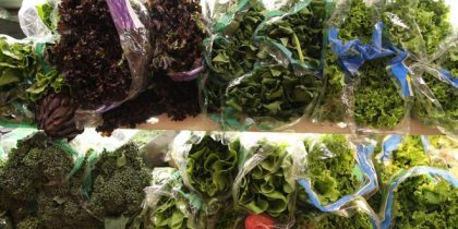 Sem-Titulo-10-Recuperado-Recuperado-Recuperado-Recuperado