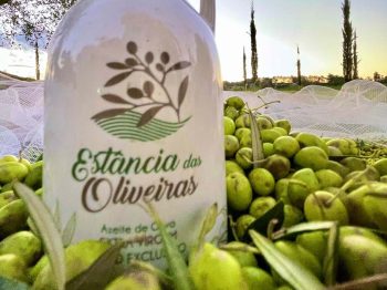 WhatsApp-Image-2022-09-16-at-09.30