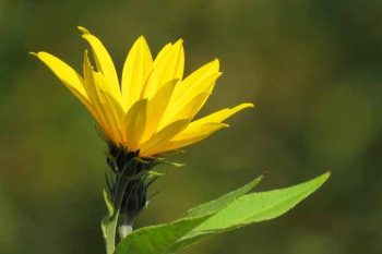 diariodeviamao-71827-noticias80682.jpg diariodeviamao-71827-noticias80682.jpg