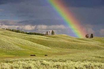 diariodeviamao-75627-noticias89339.jpg diariodeviamao-75627-noticias89339.jpg