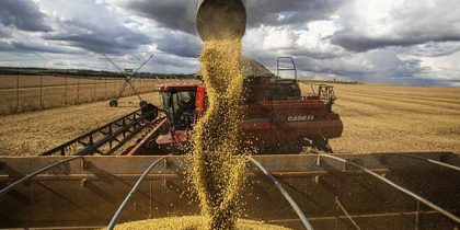 seguinte-35722-noticias60133